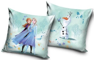 Dekoratiivne padi Disney Frozen 40x40 cm hind ja info | Dekoratiivpadjad ja padjakatted | kaup24.ee