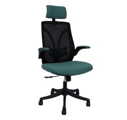 Офисное кресло Evelekt Tandy, черный/зеленый цена и информация | Офисные кресла | kaup24.ee