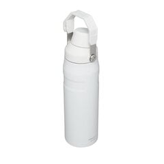 Thermobottle The Aerolight IceFlow Water Bottle Fast Flow 0.6L White цена и информация | Термосы, термокружки | kaup24.ee