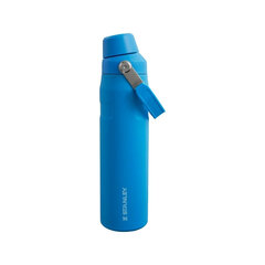 Thermobottle The Aerolight IceFlow Water Bottle Fast Flow 0.6L blue цена и информация | Термосы, термокружки | kaup24.ee