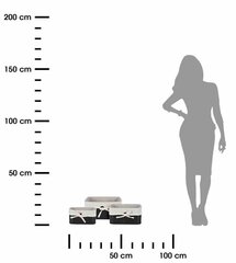 Bambuskorvide komplekt 3 tk must Korvide komplekt, bambusest valmistatud musta värvi konteinerid kõikvõimalike tarvikute hoidmiseks mõõtmetega: 34x24 cm, 29x19 cm, 24x14 cm. hind ja info | Hoiukastid ja -korvid | kaup24.ee