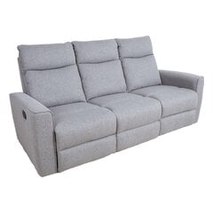 Diivan-recliner Evelekt, 204x93x102cm, hall hind ja info | Diivanid ja diivanvoodid | kaup24.ee