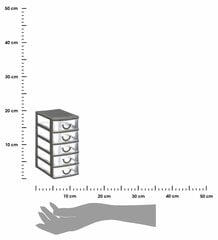 Mini trinket organiseerija 5 sahtlit Plastist konteiner 5 sahtliga väikeste esemete, aksessuaaride, ehete või kruvide jaoks. hind ja info | Hoiukastid ja -korvid | kaup24.ee