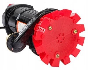 Vihmaveepump Red Technic RTPDW0073, 650W, 8000 l/h цена и информация | Насосы для грязной воды | kaup24.ee