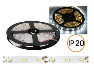 PS ECO LED шнур IP20, холодный белый свет, 300 светодиодов SMD2835, 5м, белая подложка. цена и информация | Светодиодные ленты | kaup24.ee