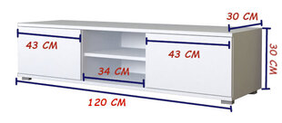 RTV kapp 120 tammepuust SONOMA valge esipaneeliga hind ja info | TV alused | kaup24.ee