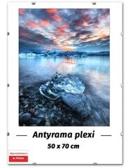 Antyrama Plii 50*70cm hind ja info | Pildiraamid | kaup24.ee