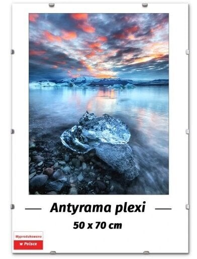 Antyrama Plii 50*70cm цена и информация | Pildiraamid | kaup24.ee
