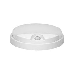 Plafond LED AGAT 10W 4000K liikumisanduriga valge OR-OP-6111WLPMR4 hind ja info | Andurid, sensorid | kaup24.ee