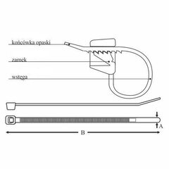 Klamber OZC 25-160 UV (100 tk) hind ja info | Kinnitusvahendid | kaup24.ee