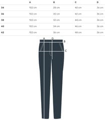 Mugavad elastsed püksid, SKINNY FIT JEANS, värviline ROSE hind ja info | Naiste püksid | kaup24.ee