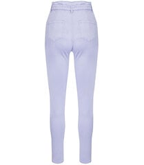 Mugavad elastsed püksid, SKINNY FIT JEANS, värviline ROSE hind ja info | Naiste püksid | kaup24.ee