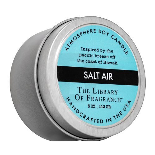 Lõhnaküünal The Library Of Fragrance Salt Air, 142 g цена и информация | Küünlad, küünlajalad | kaup24.ee