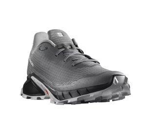 Alphacross 5 salomon l47313300 vīriešiem pilka men's grey L47313300 цена и информация | Кроссовки для мужчин | kaup24.ee