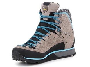 Salewa Ws Mtn Trainer 2 Winter GTX 61373-7950 25358-21 цена и информация | Женские сапоги | kaup24.ee