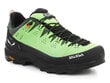 Salewa Alp Trainer 2 Gore-Tex® meeste kingad 61400-5660 27041-666 цена и информация | Meeste kingad, saapad | kaup24.ee