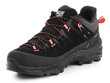 Salewa Alp Trainer 2 Gore-Tex® naiste kingad 61401-9172 27047-446 цена и информация | Naiste spordi- ja vabaajajalatsid | kaup24.ee