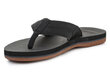 Quiksilver Coastal Oasis meeste flip-flops AQYL100633-XKKC 29221-F цена и информация | Meeste plätud, sussid | kaup24.ee