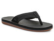 Quiksilver Coastal Oasis meeste flip-flops AQYL100633-XKKC 29221-F цена и информация | Meeste plätud, sussid | kaup24.ee