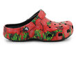 Crocs Classic Hyper Real Clog 208343-643 30545-466 hind ja info | Naiste plätud ja sussid | kaup24.ee