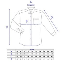 Рубашки однотонные мужские NORDIC, приталенный силуэт - С длинным рукавом 1110F-41 цена и информация | Мужские рубашки | kaup24.ee