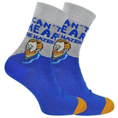 Мужские носки Vincent Van Gogh I Can't Hear Haters Socks 39-42 D-1608-2 39-42 цена и информация | Мужские носки | kaup24.ee