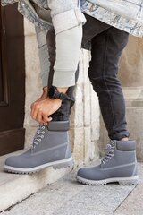 Meeste saapad Timberland 10061 TB0A1, sinine hind ja info | Meeste kingad, saapad | kaup24.ee