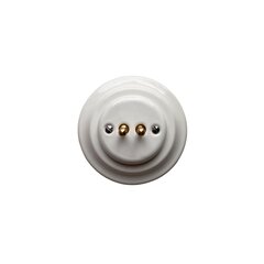 Olde Worlde Flush mounted toggle switch, 2 Gang two-way K1-R220N1 настенный выключатель Белый , цена и информация | Выключатели, розетки | kaup24.ee