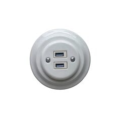 Olde Worlde Flush mounted double USB charging socket 5V-3.2A 10mm strip gauge K1-2USBAW elektripistikupesad Valge , hind ja info | Lülitid ja pistikupesad | kaup24.ee