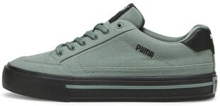 Puma Обувь Court Classic Vulc Green 395020 04 395020 04/8 цена и информация | Кроссовки для мужчин | kaup24.ee