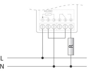 PP-1P Pico miniatuurne elektromagnetiline relee hind ja info | Lülitid ja pistikupesad | kaup24.ee