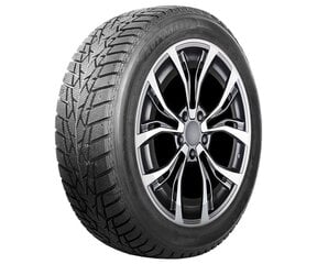 AUTOGREEN IceCruiser AW01 205/60R16 92T цена и информация | Зимняя резина | kaup24.ee