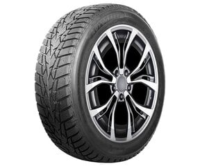 AUTOGREEN IceCruiser AW01 205/55R16 91T цена и информация | Зимняя резина | kaup24.ee