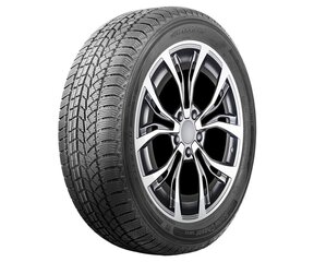 AUTOGREEN Snow Chaser AW02 255/50R19 107T XL цена и информация | Зимняя резина | kaup24.ee