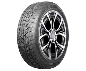 AUTOGREEN Snow Ranger AW09 235/55R20 102H цена и информация | Зимняя резина | kaup24.ee