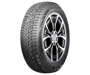 AUTOGREEN Snow Chaser 2 AW08 205/55R16 91T цена и информация | Зимняя резина | kaup24.ee