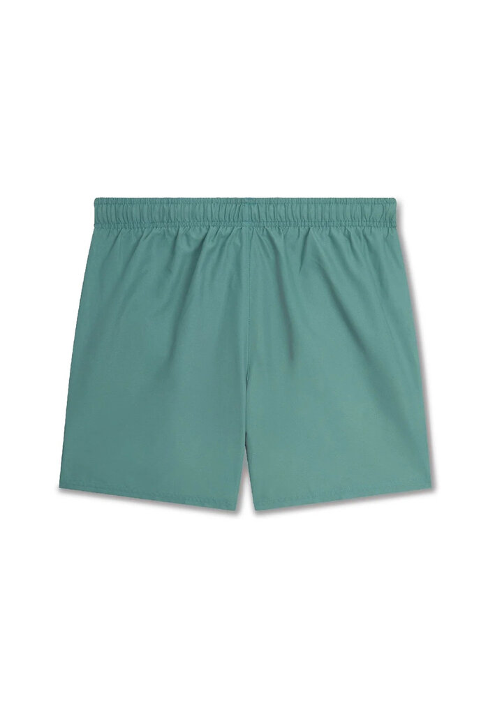 Nike Ujumisšortsid 5""Volley Short Green NESSA560 302 NESSA560 302/2XL цена и информация | Ujumispüksid, shortsid | kaup24.ee