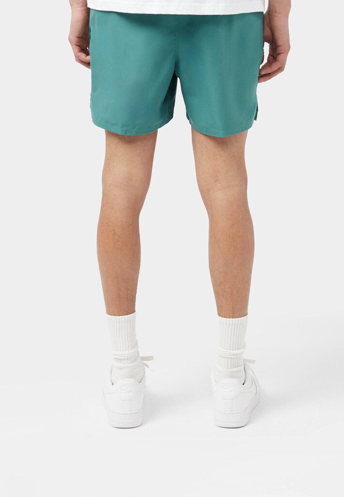 Nike Ujumisšortsid 5""Volley Short Green NESSA560 302 NESSA560 302/2XL цена и информация | Ujumispüksid, shortsid | kaup24.ee