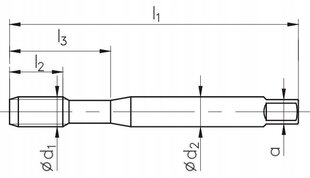 HSS-CO M14x2 mm H2 TiSiN DIN376 keermestamine masinaga hind ja info | Käsitööriistad | kaup24.ee