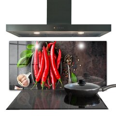 Klaasist seinaplaat pliidile, Kuuma paprika keetmine, 100x50cm цена и информация | Комплектующие для кухонной мебели | kaup24.ee