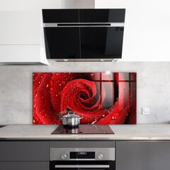 Klaasist seinaplaat pliidile, Kastetilgad punasel roosil, 100x50cm цена и информация | Комплектующие для кухонной мебели | kaup24.ee