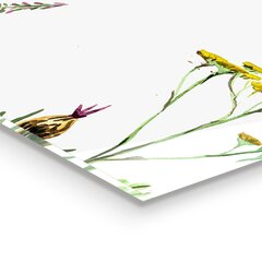 Klaasist seinaplaat pliidile, Värviliste lilledega heinamaa, 100x50cm hind ja info | Köögimööbli tarvikud | kaup24.ee