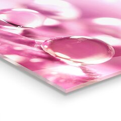Klaasist seinaplaat pliidile, Kastepiisad roosal lillel, 100x70cm hind ja info | Köögimööbli tarvikud | kaup24.ee