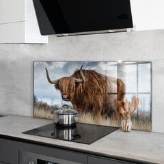 Klaasist seinaplaat pliidile, Highland Boho lehm, 120x60cm цена и информация | Комплектующие для кухонной мебели | kaup24.ee