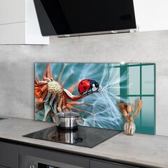 Klaasist seinaplaat pliidile, Lepatriinu punane mardikas, 120x60cm цена и информация | Комплектующие для кухонной мебели | kaup24.ee