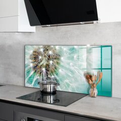 Klaasist seinaplaat pliidile, Võilill tuuletaimes, 120x60cm hind ja info | Köögimööbli tarvikud | kaup24.ee