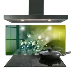 Klaasist seinaplaat pliidile, Kaste rohelistel lehtedel, 120x60cm hind ja info | Köögimööbli tarvikud | kaup24.ee