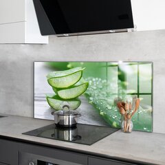 Klaasist seinaplaat pliidile, Aloe Aloe Vera taim, 120x60cm цена и информация | Комплектующие для кухонной мебели | kaup24.ee