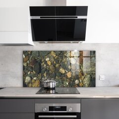 Klaasist seinaplaat pliidile, Stones Lake Bottom loodus, 120x60cm цена и информация | Комплектующие для кухонной мебели | kaup24.ee