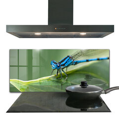 Klaasist seinaplaat pliidile, Dragonfly Leaf, 125x50cm hind ja info | Köögimööbli tarvikud | kaup24.ee